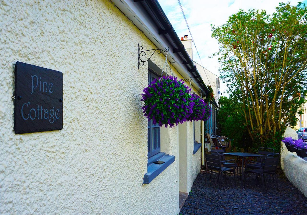 Staycation At Pine Cottage, A Newly Refurbished *